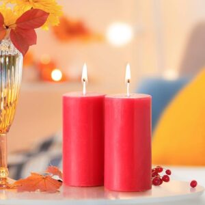 IRIS Wax Home Fragrances Pack of 2 – Peach Pomegranate Scented Pillar Candles, 160g Each (2"x4"), Damask Rose Collection